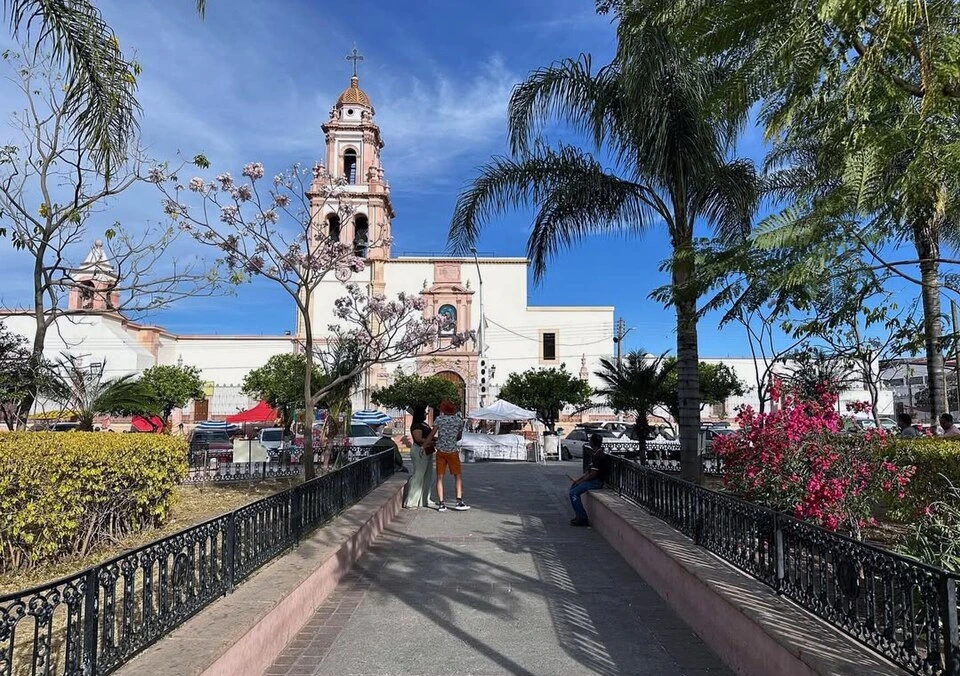 Cocula