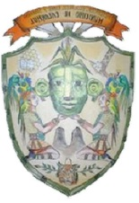Escudo municipal de Calakmul