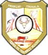Escudo municipal de Progreso