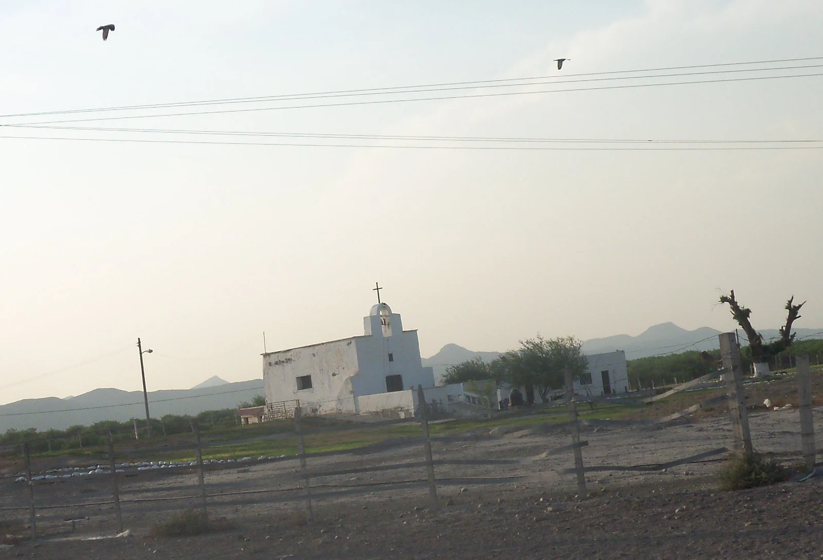 Ramos Arizpe