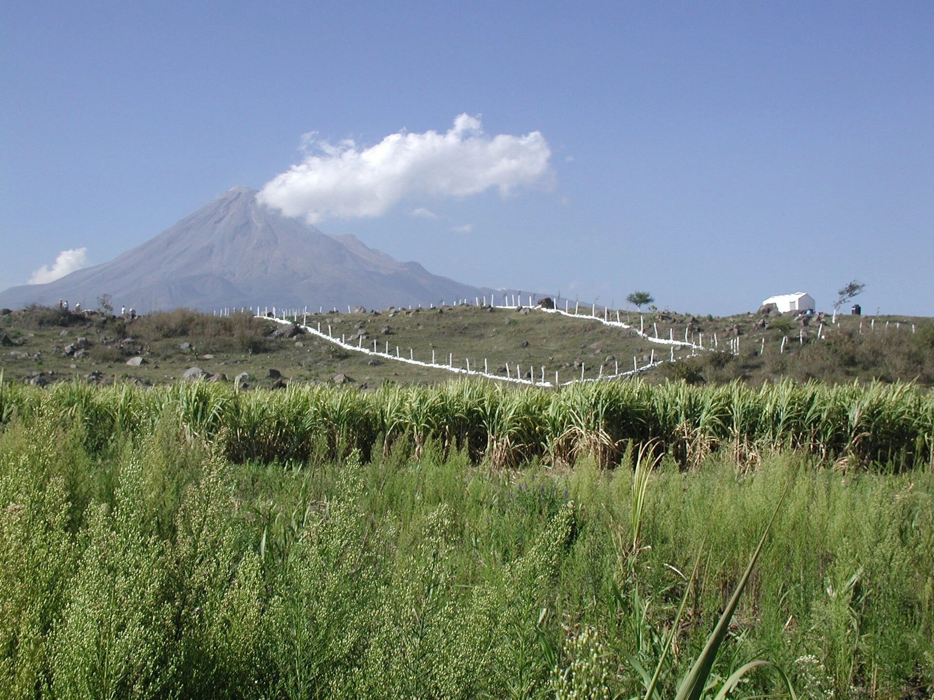 Cuauhtémoc