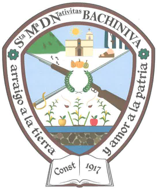 Escudo municipal de Bachíniva