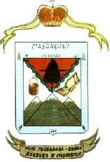 Escudo municipal de Maguarichi