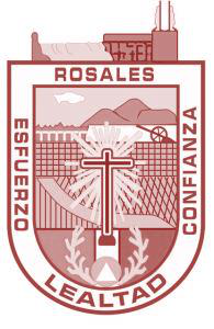 Escudo municipal de Rosales