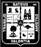 Escudo municipal de Satevó