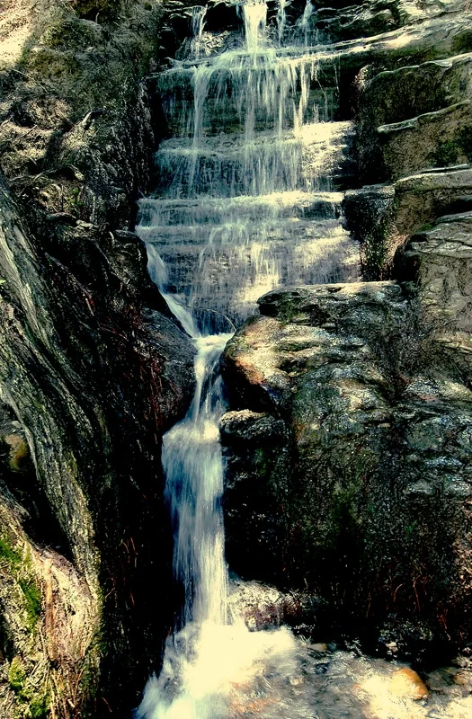 Abasolo
