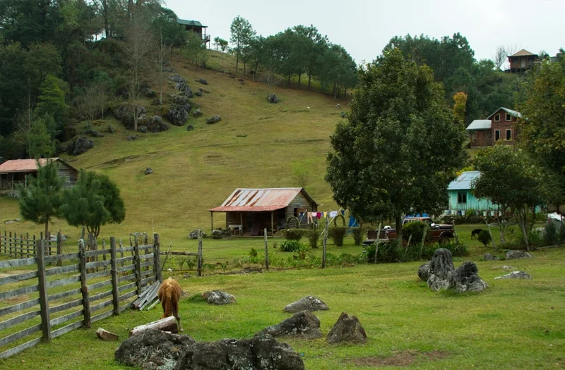 Gómez Farías