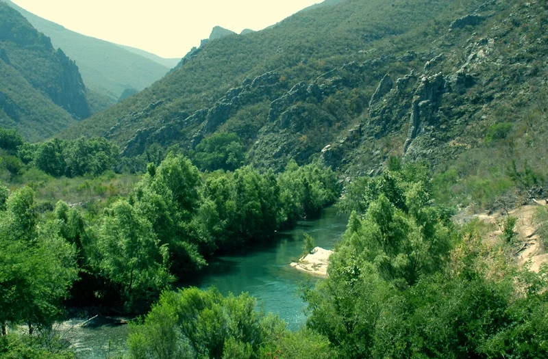 Jaumave