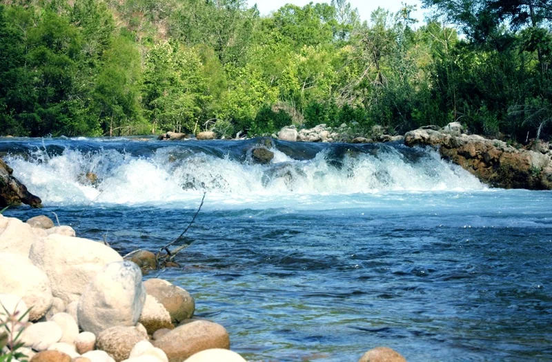Llera