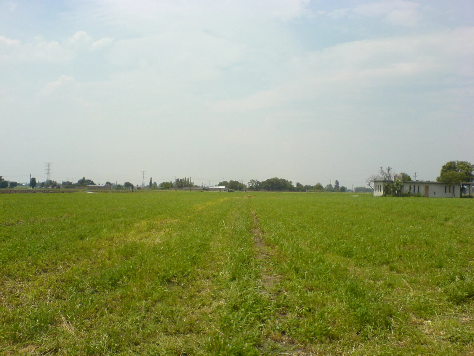 Celaya