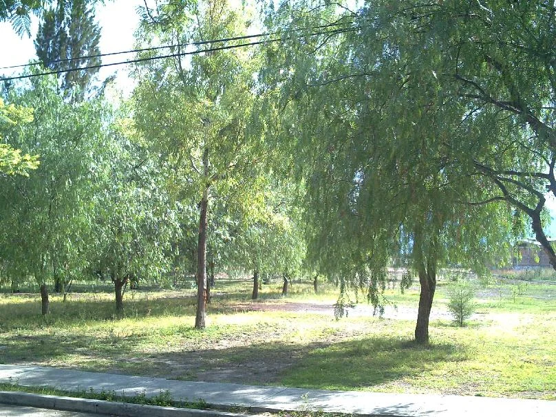 San Francisco del Rincón