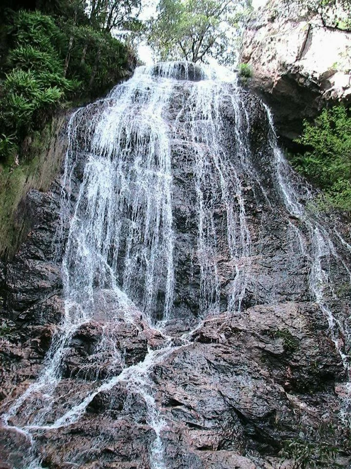 Santa Cruz de Juventino Rosas