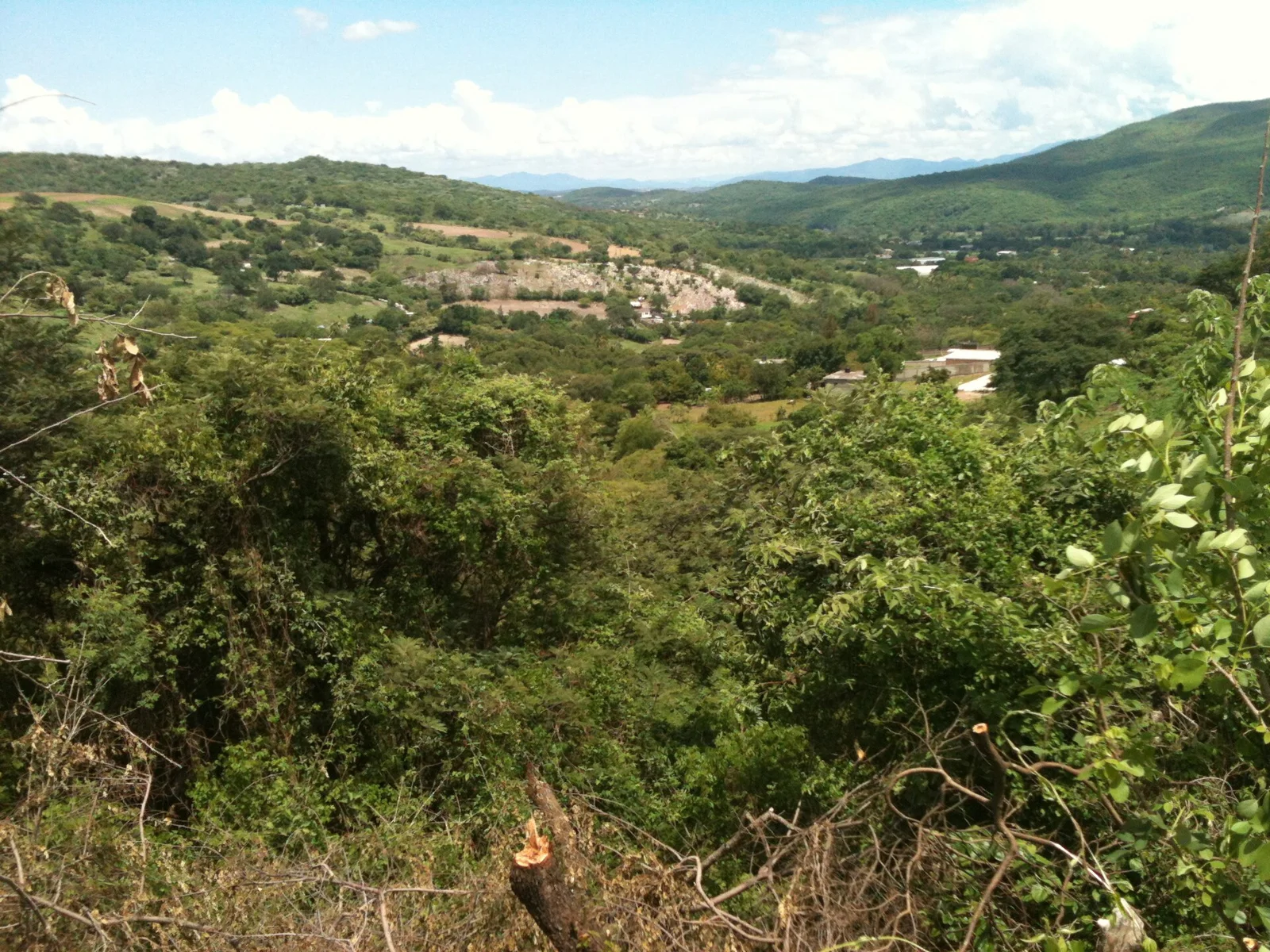Coatlán del Río