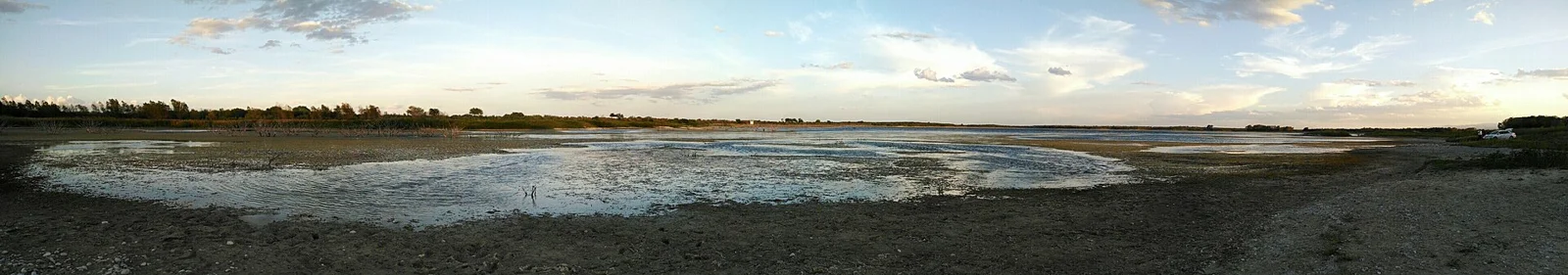 Agualeguas
