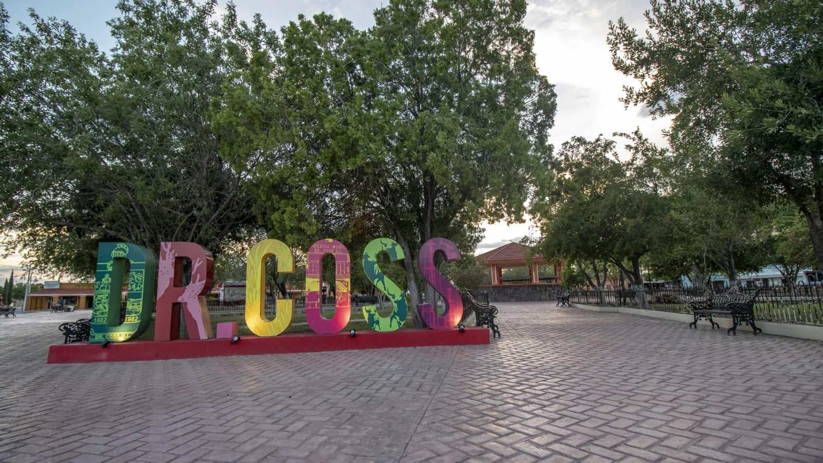 Doctor Coss
