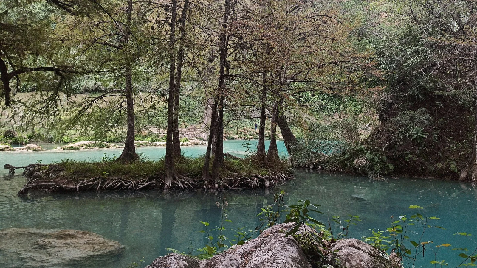 El Naranjo