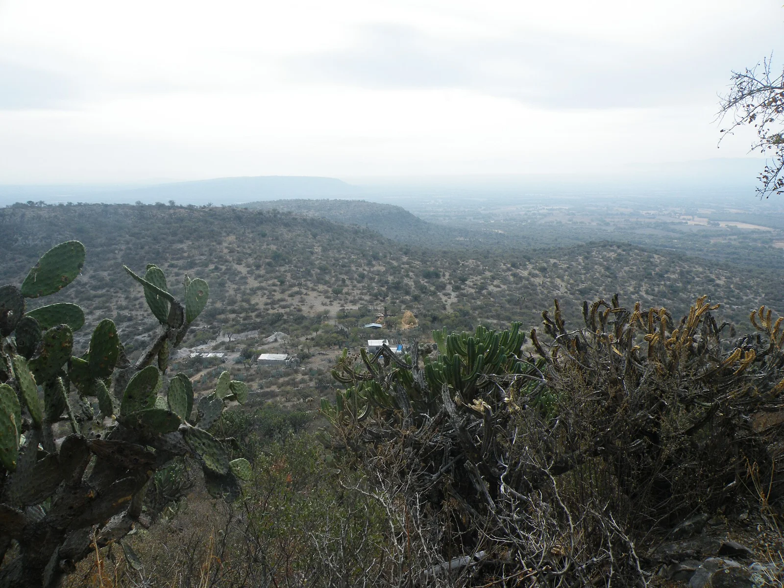 Villa Hidalgo