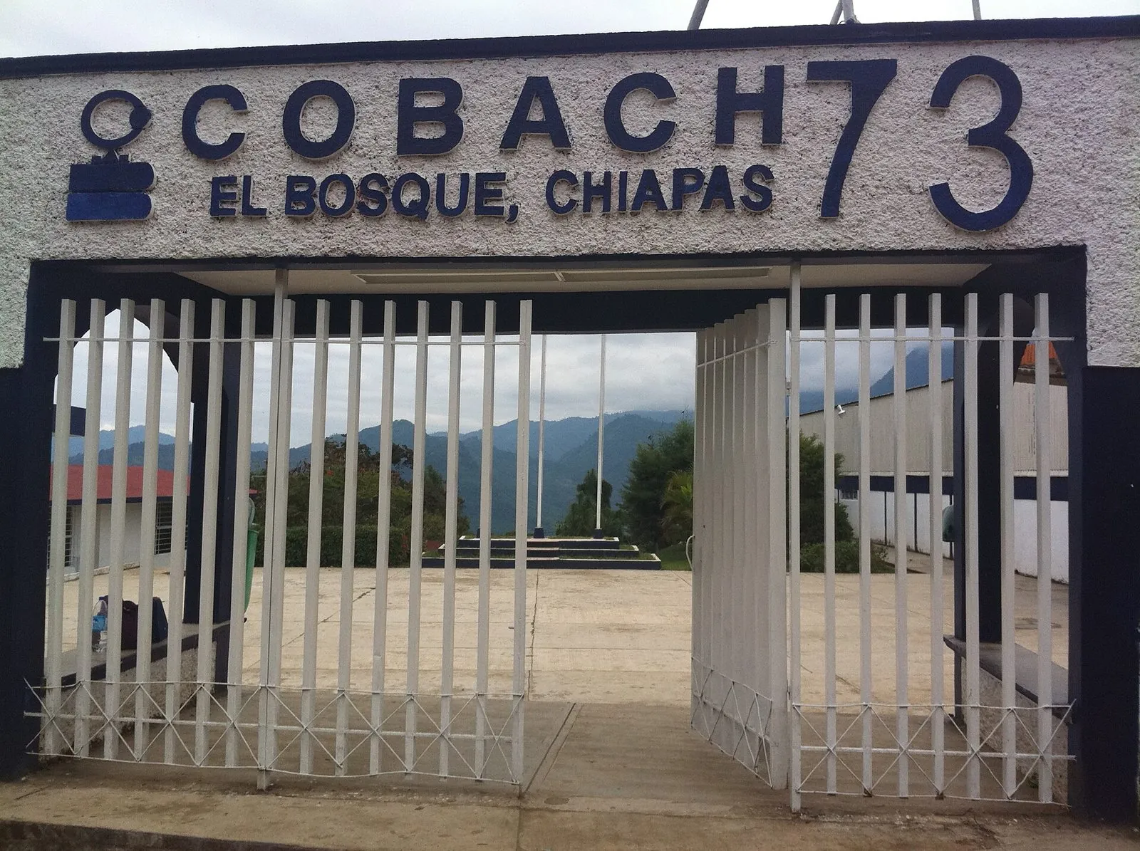 El Bosque