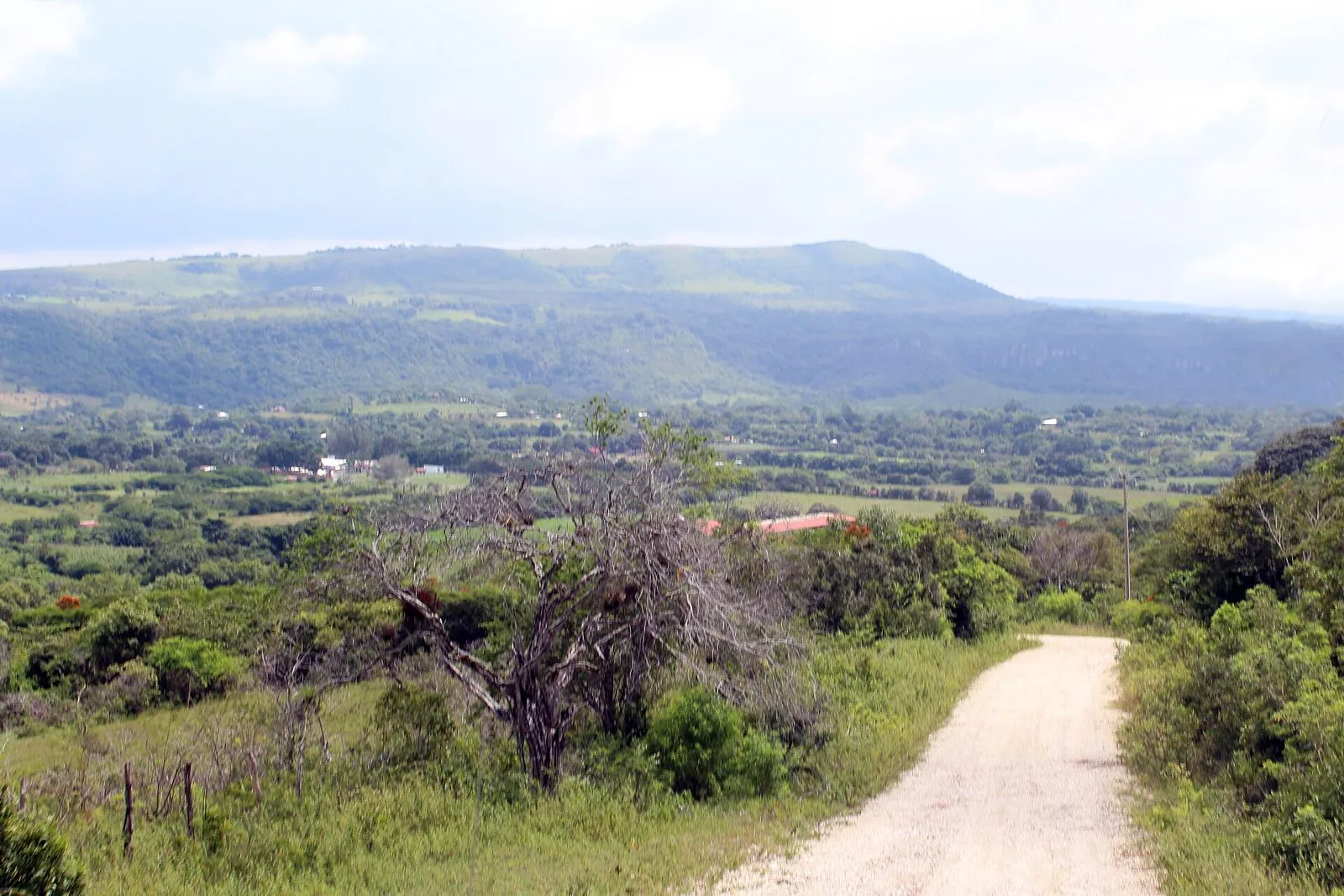 Ocozocoautla de Espinosa