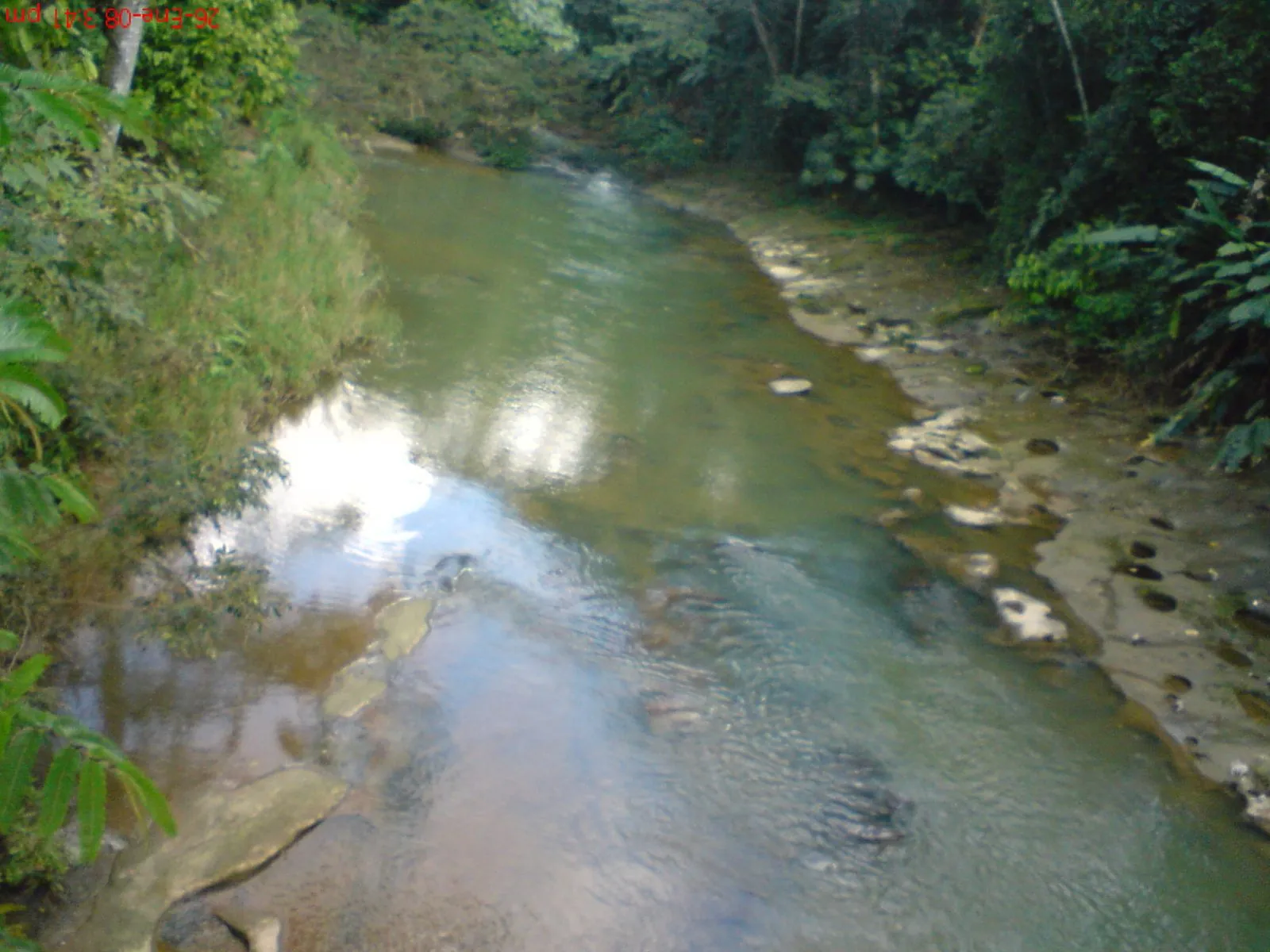 Pichucalco