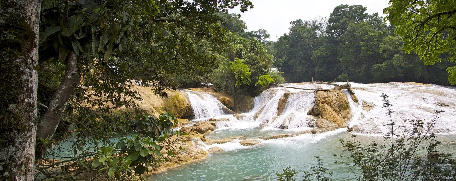 Salto de Agua