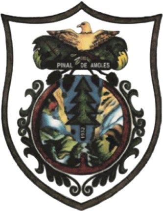 Escudo municipal de Pinal de Amoles