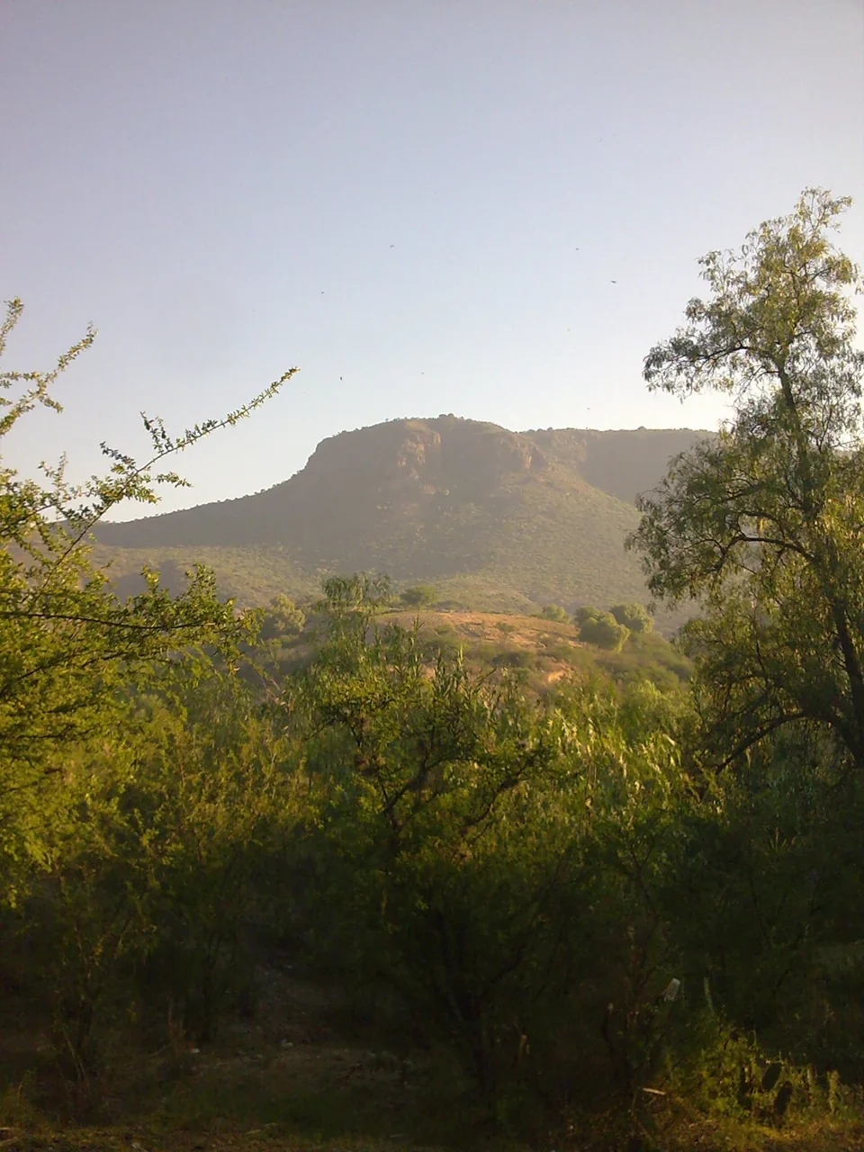 Mixquiahuala de Juárez