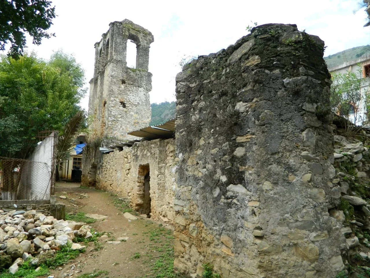 Pacula