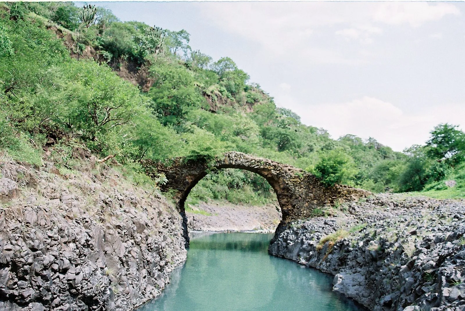 Buenavista