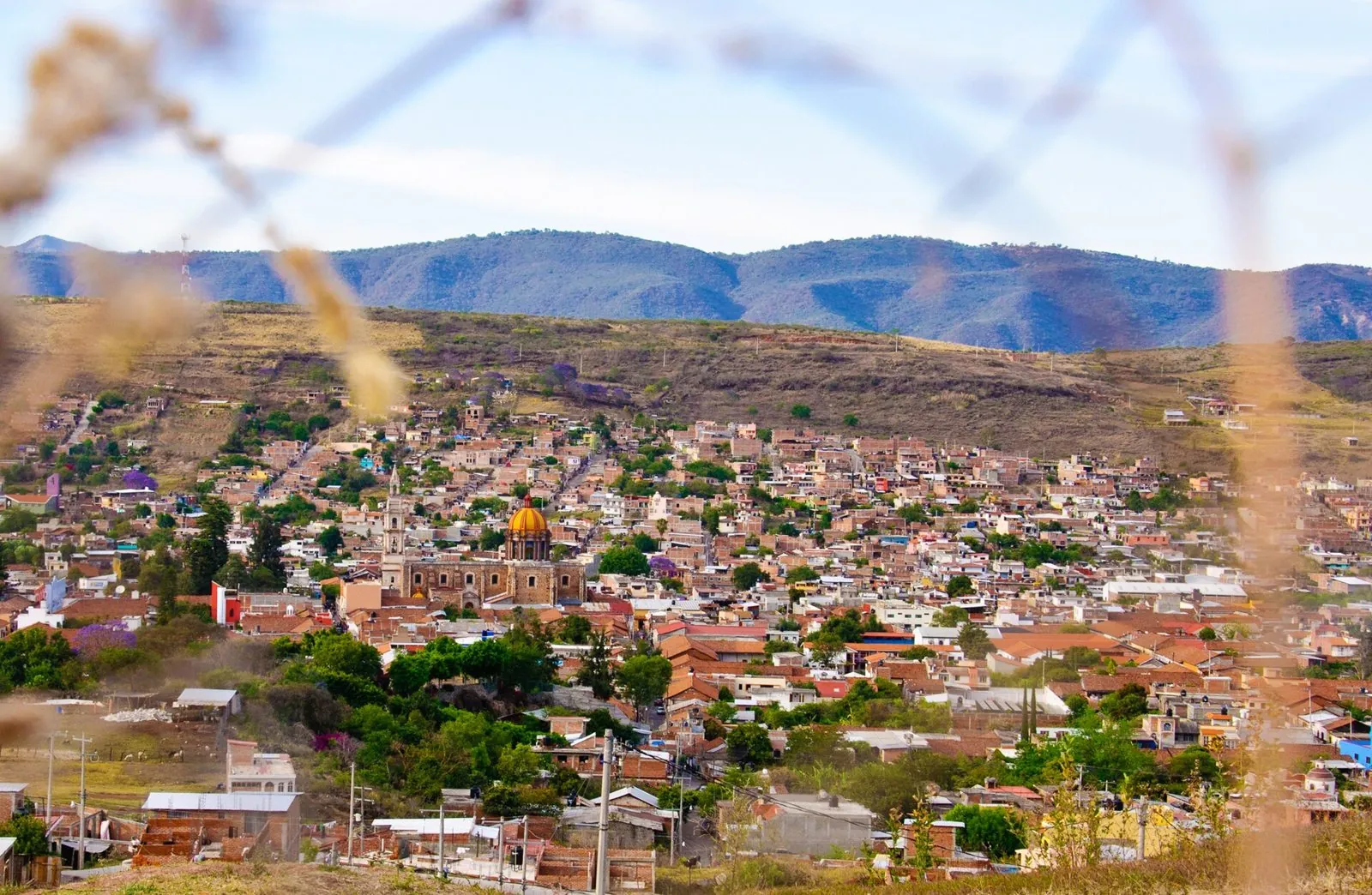 Cotija