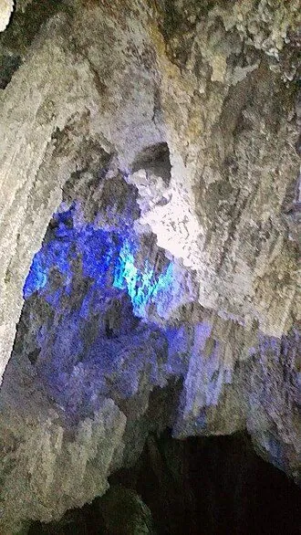 Hidalgo