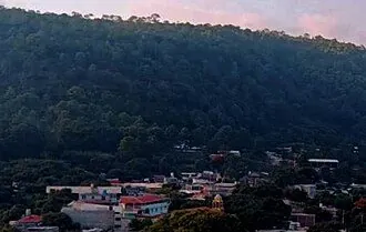 Turicato
