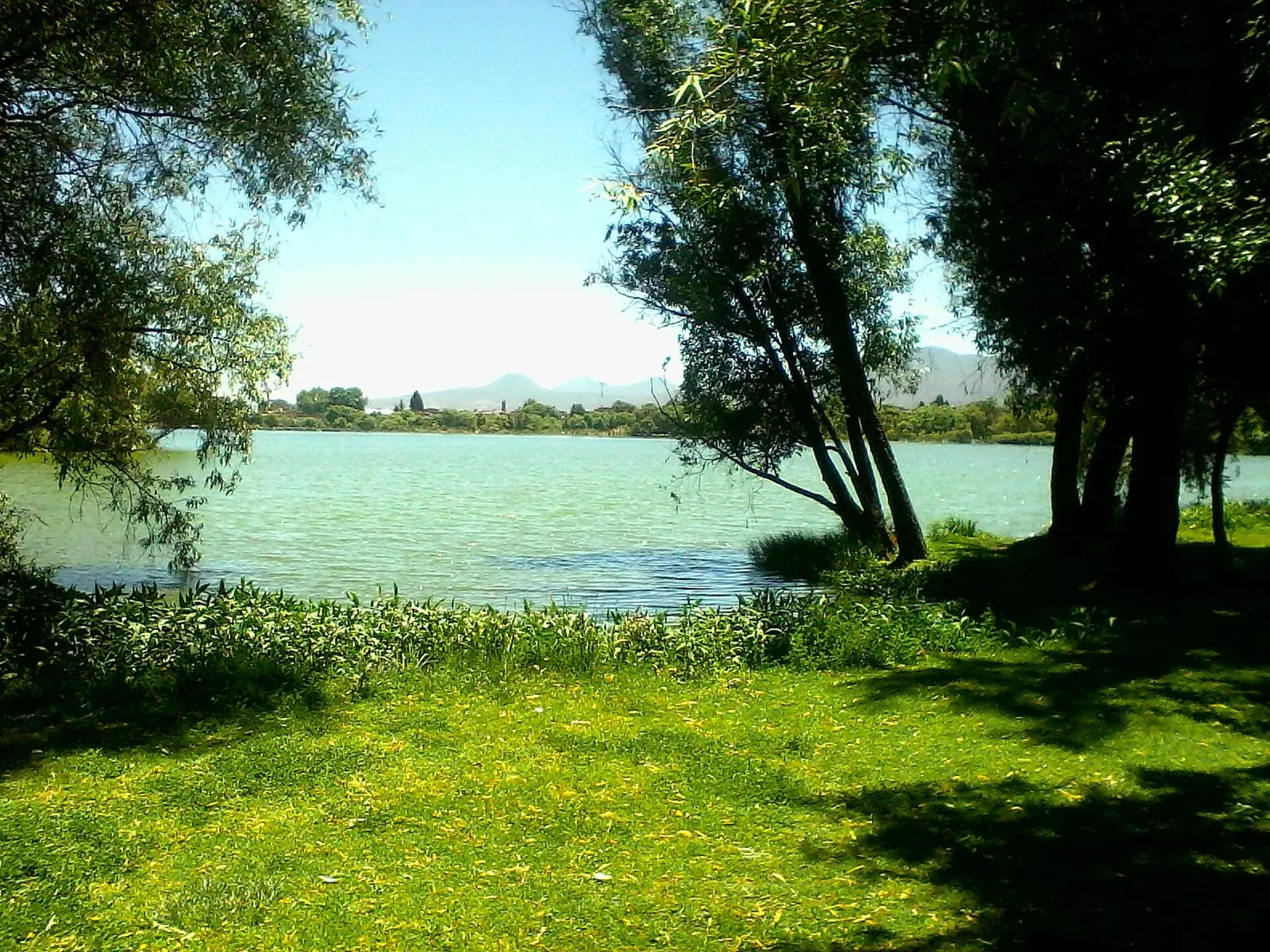 Zacapu