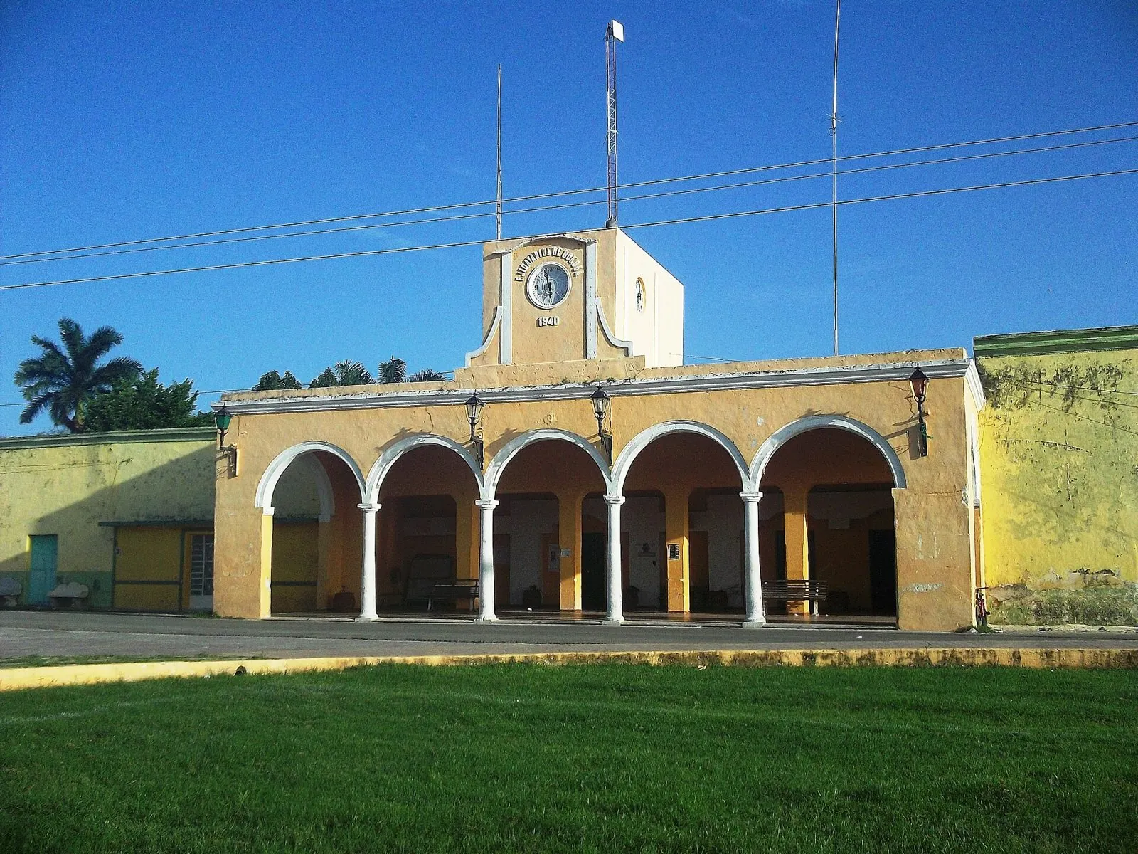 Bokobá