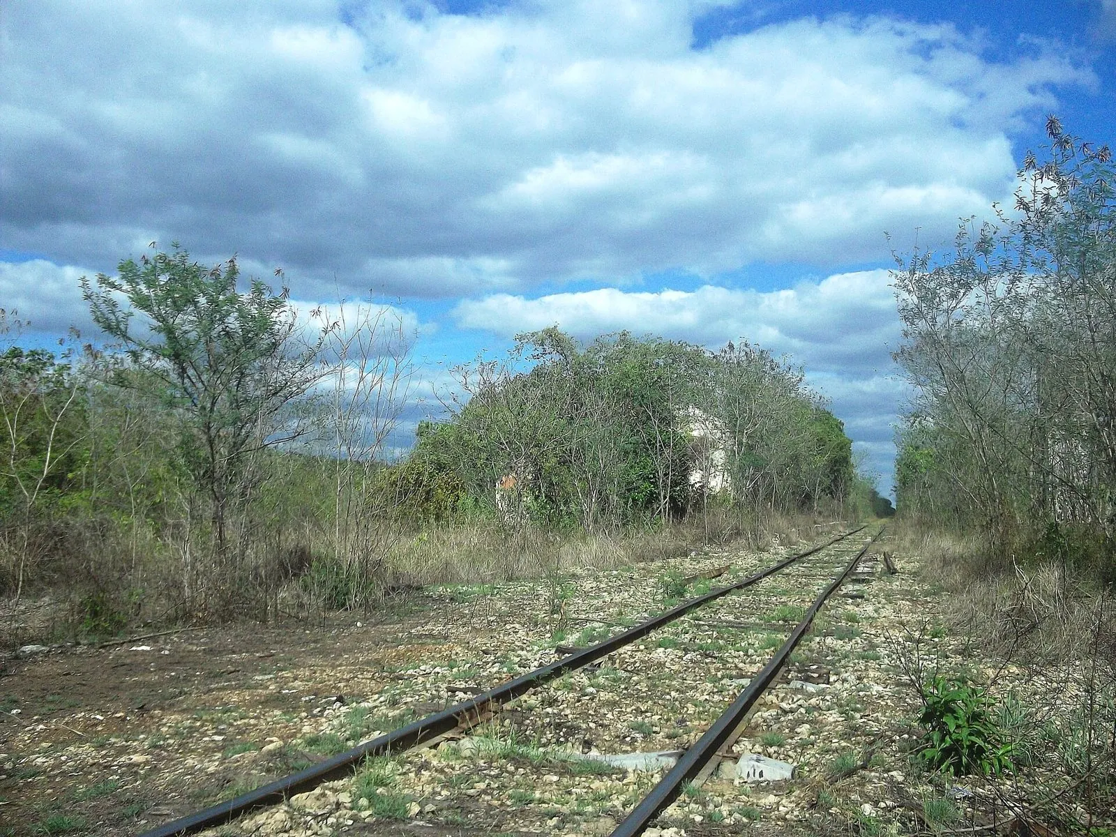 Kopomá