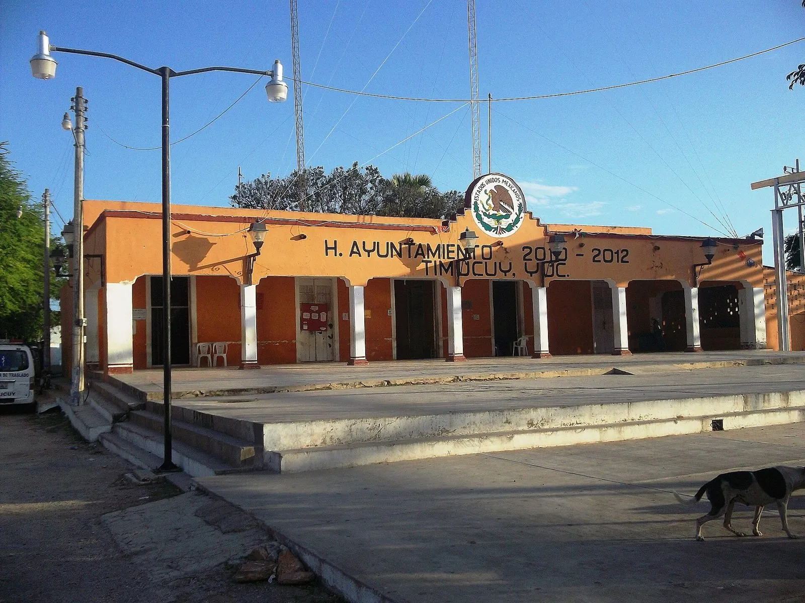 Timucuy