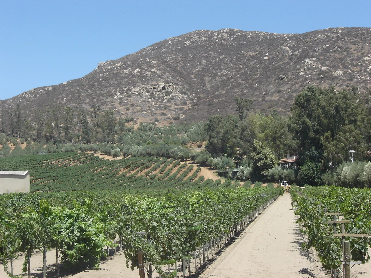 Baja California