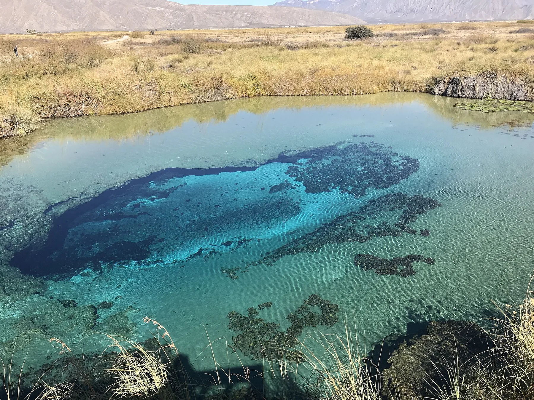 Coahuila