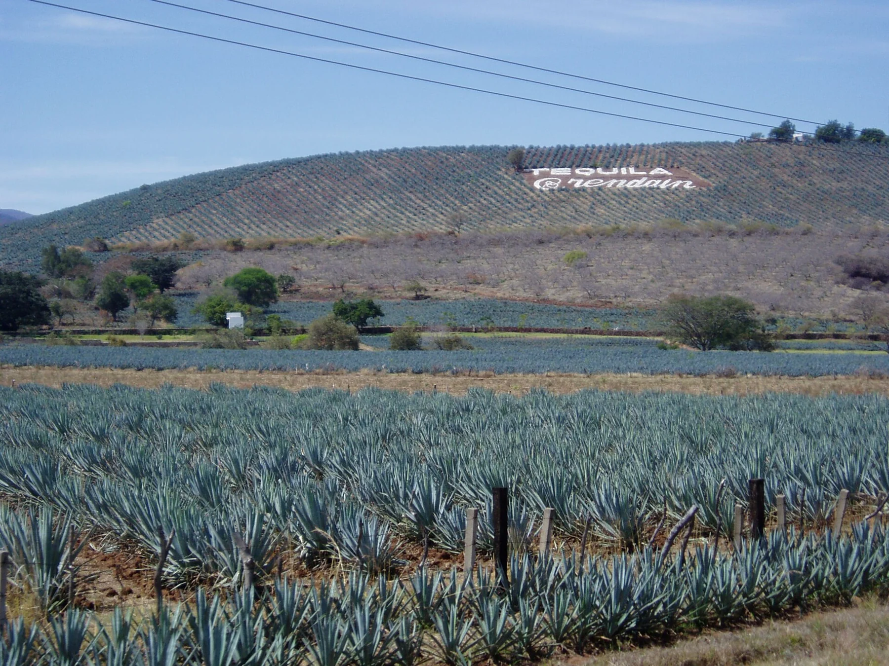 Jalisco