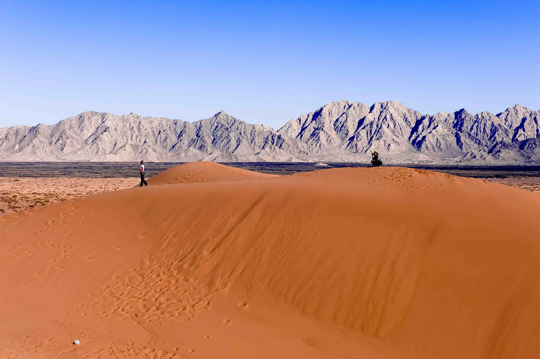 Sonora